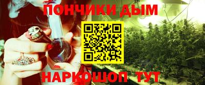 прущие грибы Бийск