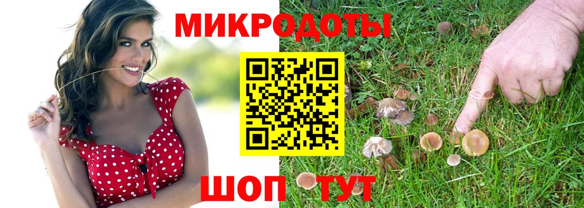 Псилоцибиновые грибы ЛСД Волгоград