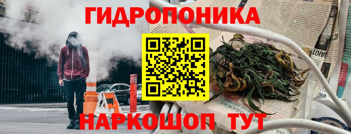 Бошки марихуана ГИДРОПОН Волгоград